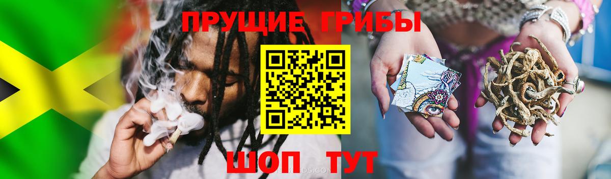 Галлюциногенные грибы мицелий Елизово